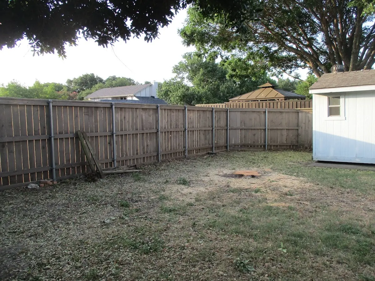 Cleared yard after professional tree removal in Mc Allister